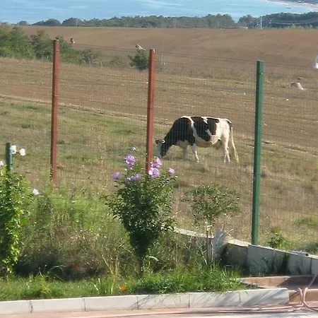 Belvedere בית הארחה ביאלה